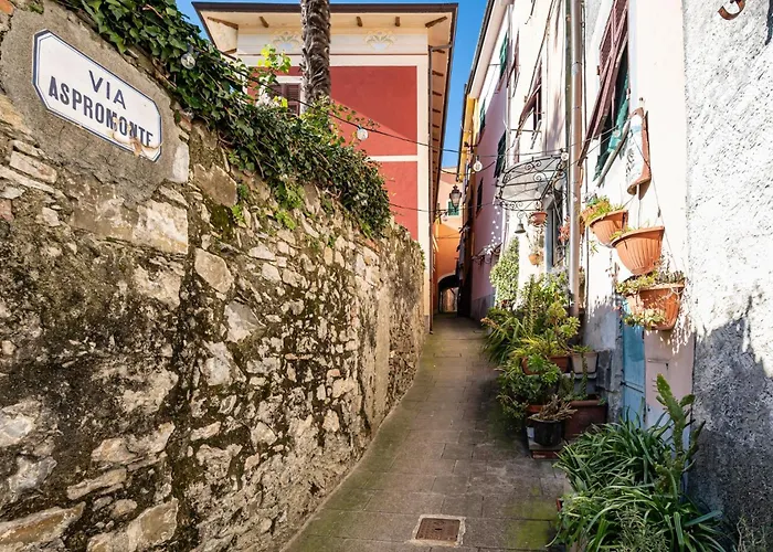Guesthost - Oltre Il Mare - Peaceful Retreat In Liguria * 韦扎诺利古勒